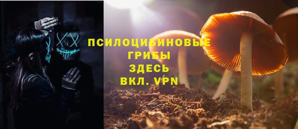 дурь Балахна