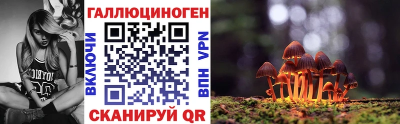 Псилоцибиновые грибы мицелий  магазин продажи   Верхний Тагил 
